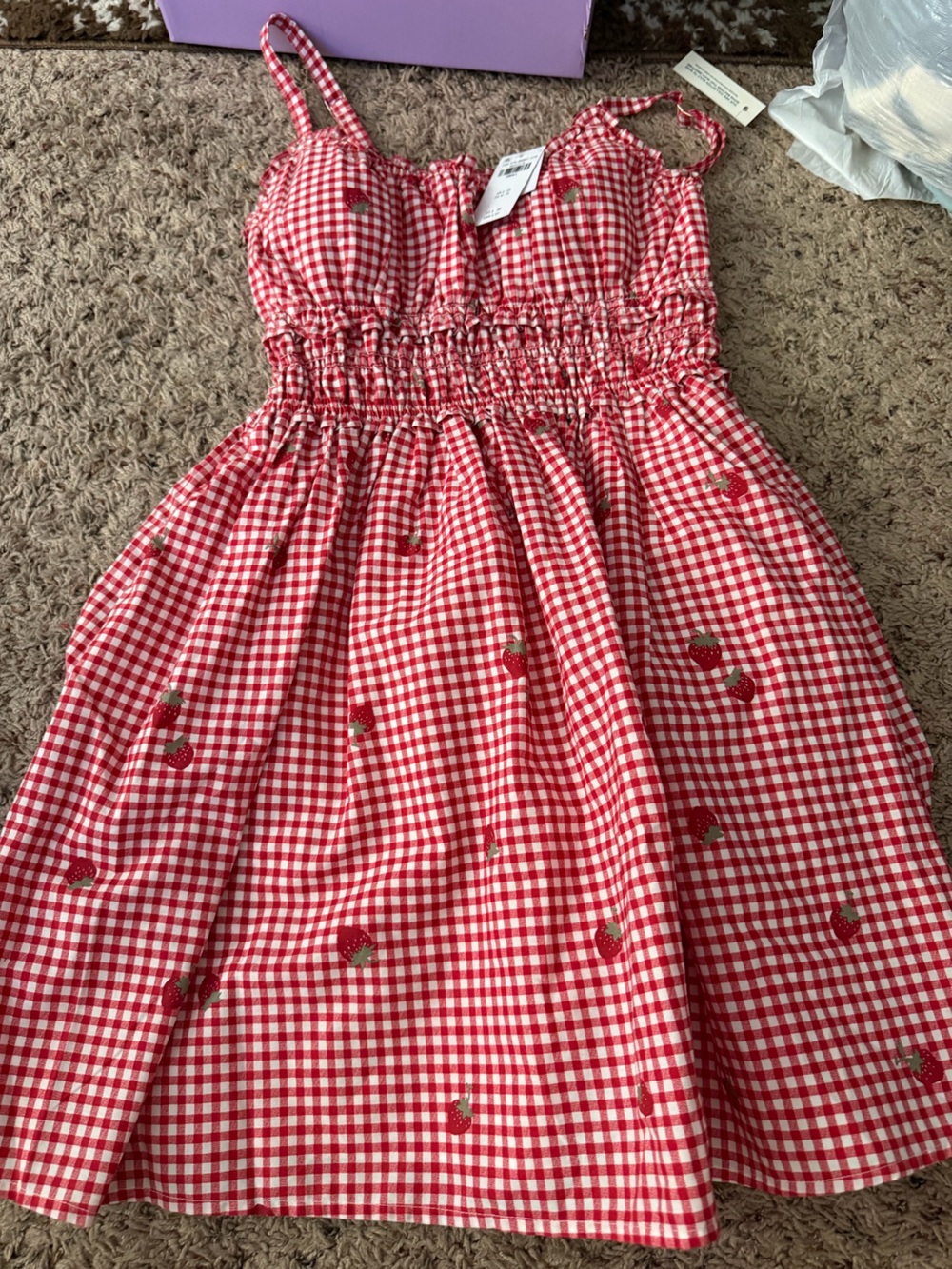 Abercrombie & Fitch Red and White Gingham Strawberry Sundress